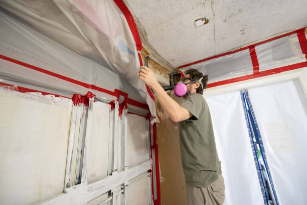 Best Air Quality Testing for Mold Spores  in Hitchcock, TX