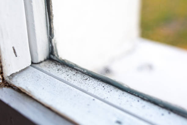 Best Residential Mold Inspection & Testing  in Hitchcock, TX